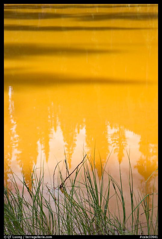 Refexions in the yellow waters of the Paint Pots. Kootenay National Park, Canadian Rockies, British Columbia, Canada