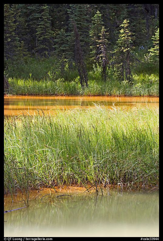 Two of the Paint Pots with mineral-colored water. Kootenay National Park, Canadian Rockies, British Columbia, Canada
