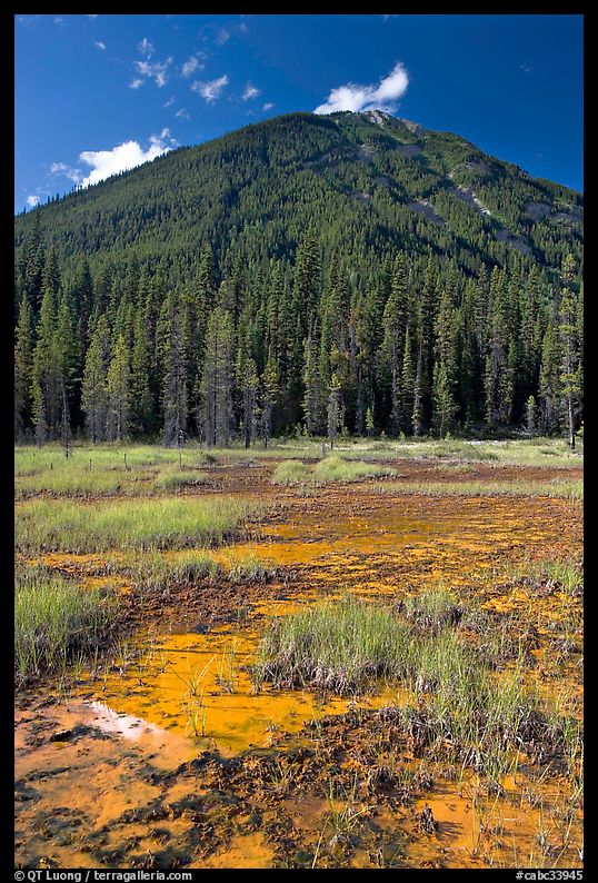 Red and yellow colored clay ochre bed at the base of forested hill. Kootenay National Park, Canadian Rockies, British Columbia, Canada