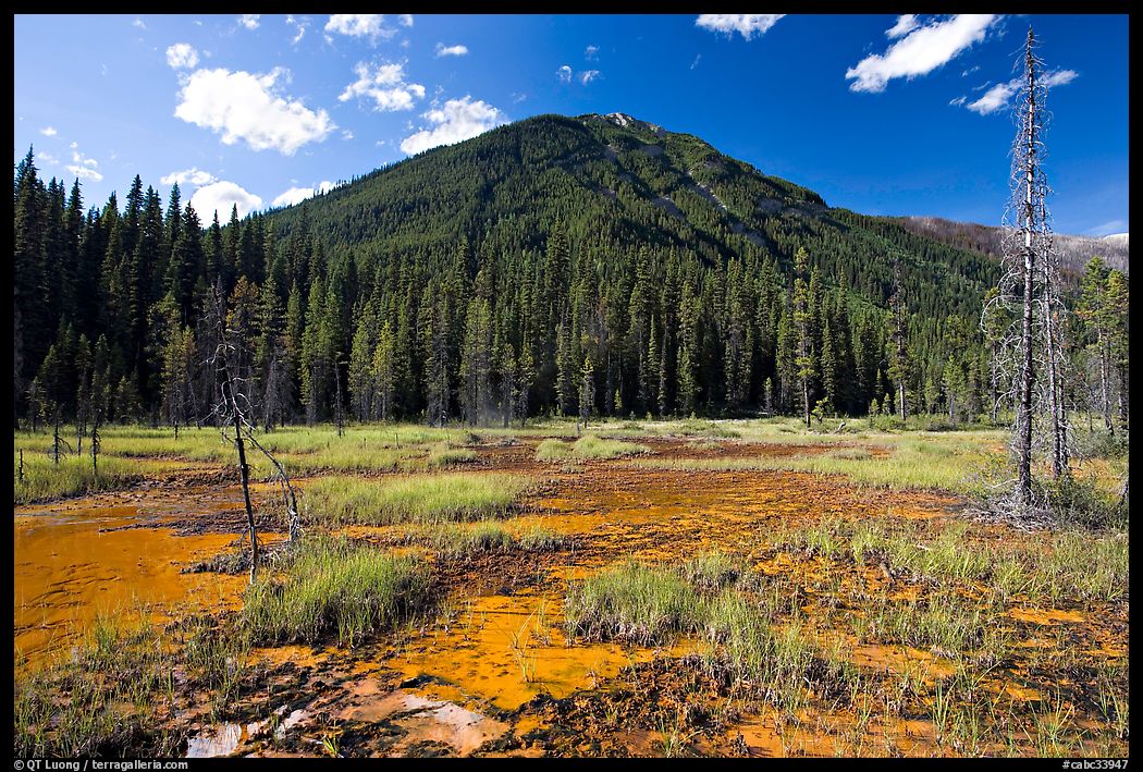 Yellow and red mud ochre bed, sacred to First Nations. Kootenay National Park, Canadian Rockies, British Columbia, Canada