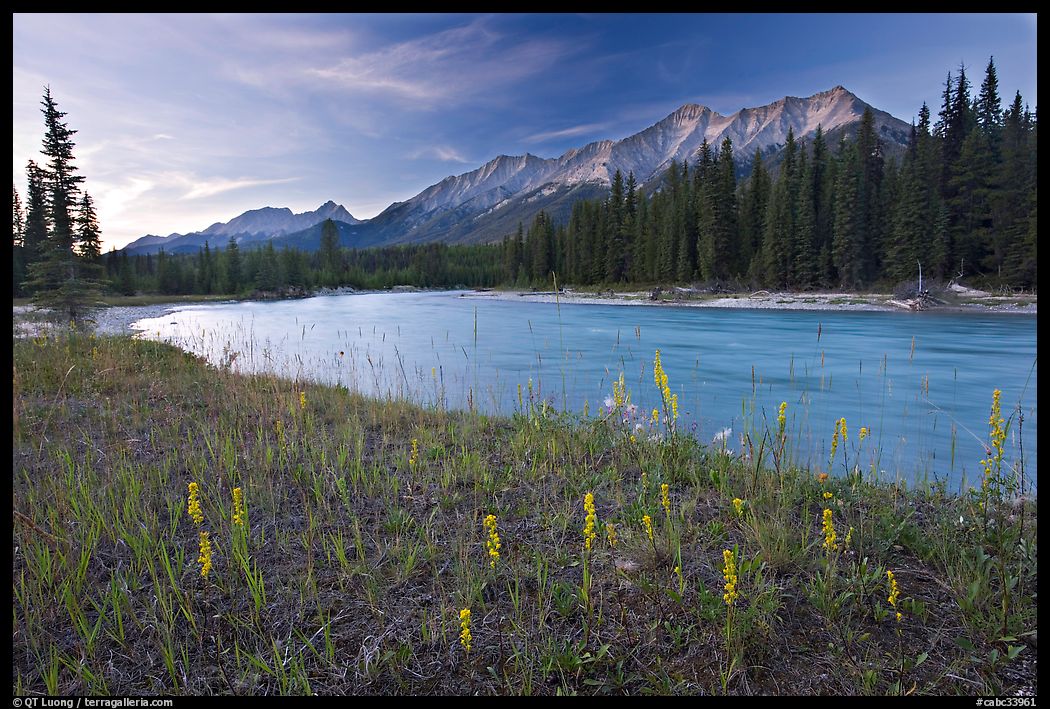 Mitchell range, Kootenay River, and flowers, sunset. Kootenay National Park, Canadian Rockies, British Columbia, Canada