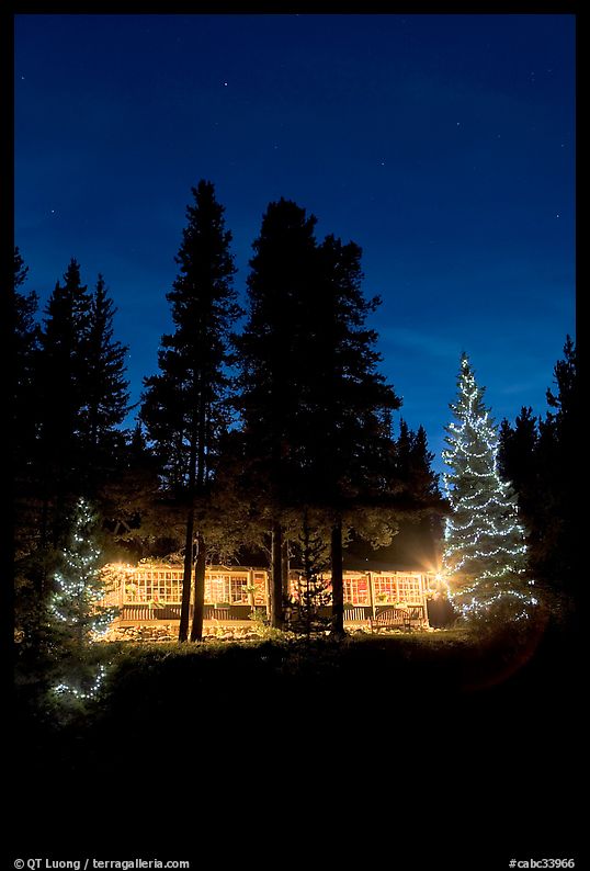 Cabin and illuminated Christmas trees at night. Kootenay National Park, Canadian Rockies, British Columbia, Canada