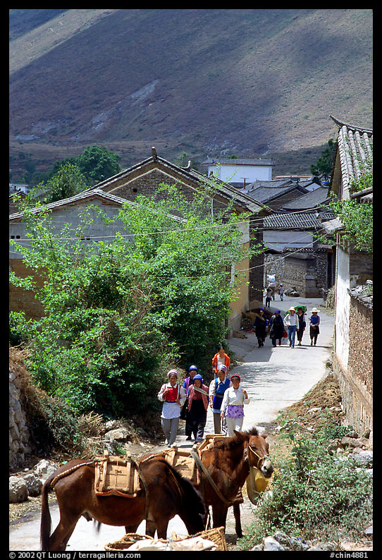 Village street leading to the market. Shaping, Yunnan, China