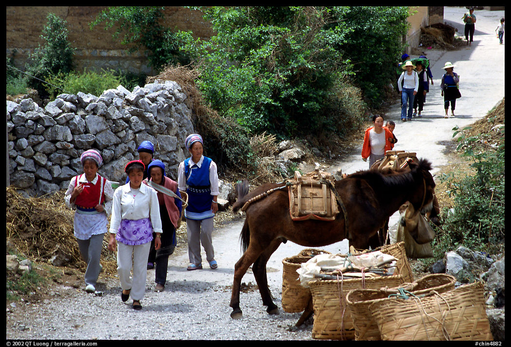 Village street leading to the market. Shaping, Yunnan, China