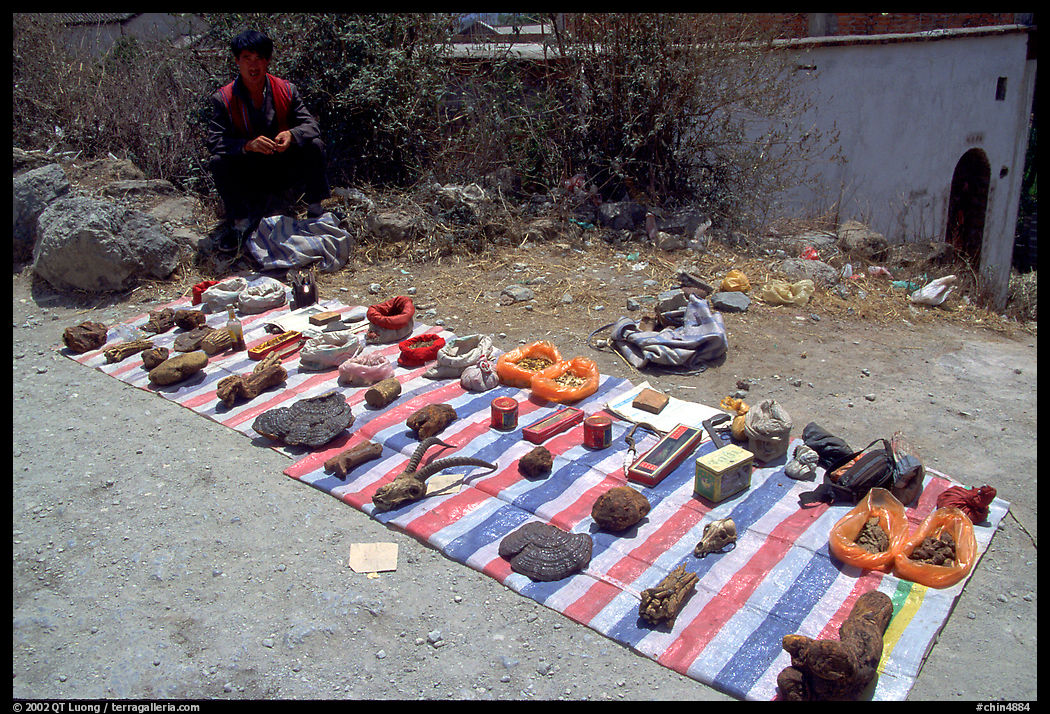 Selling strange items. Shaping, Yunnan, China