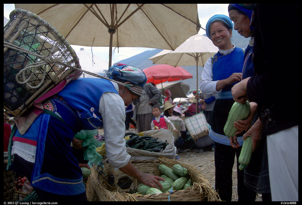 Bai women buying vegetables at the Monday market. Shaping, Yunnan, China