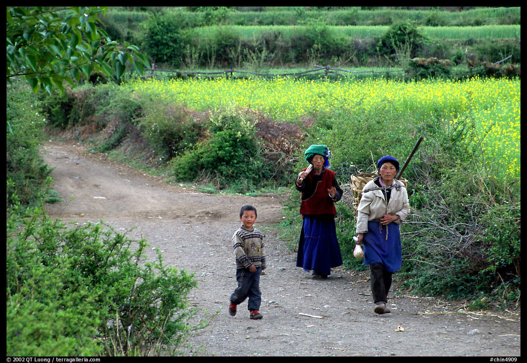 Women returning from the fields. Baisha, Yunnan, China