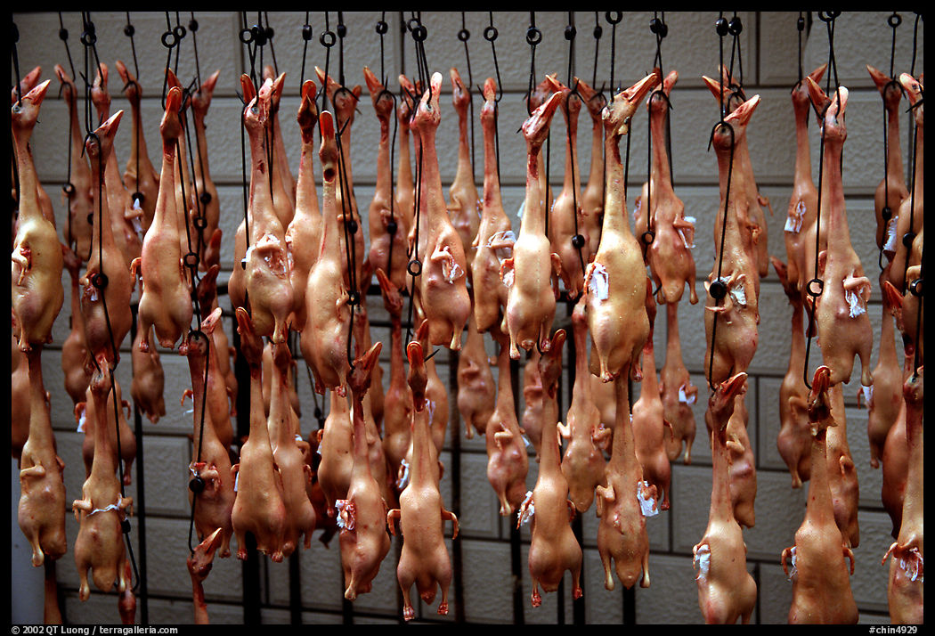 Roasted ducks for sale. Kunming, Yunnan, China