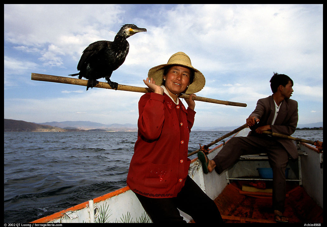 Aboard a cormorant fishing boat. Dali, Yunnan, China