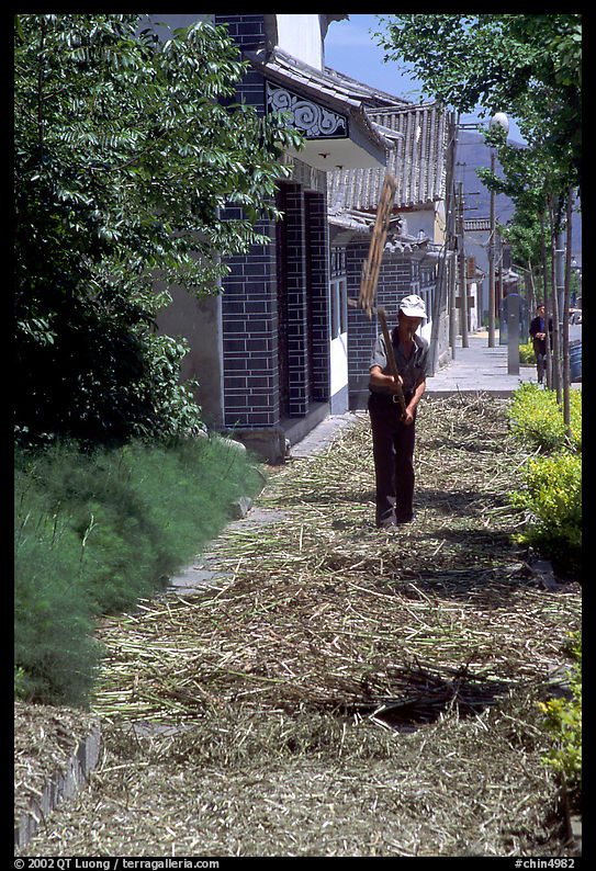 Grain being dried on the street. Dali, Yunnan, China