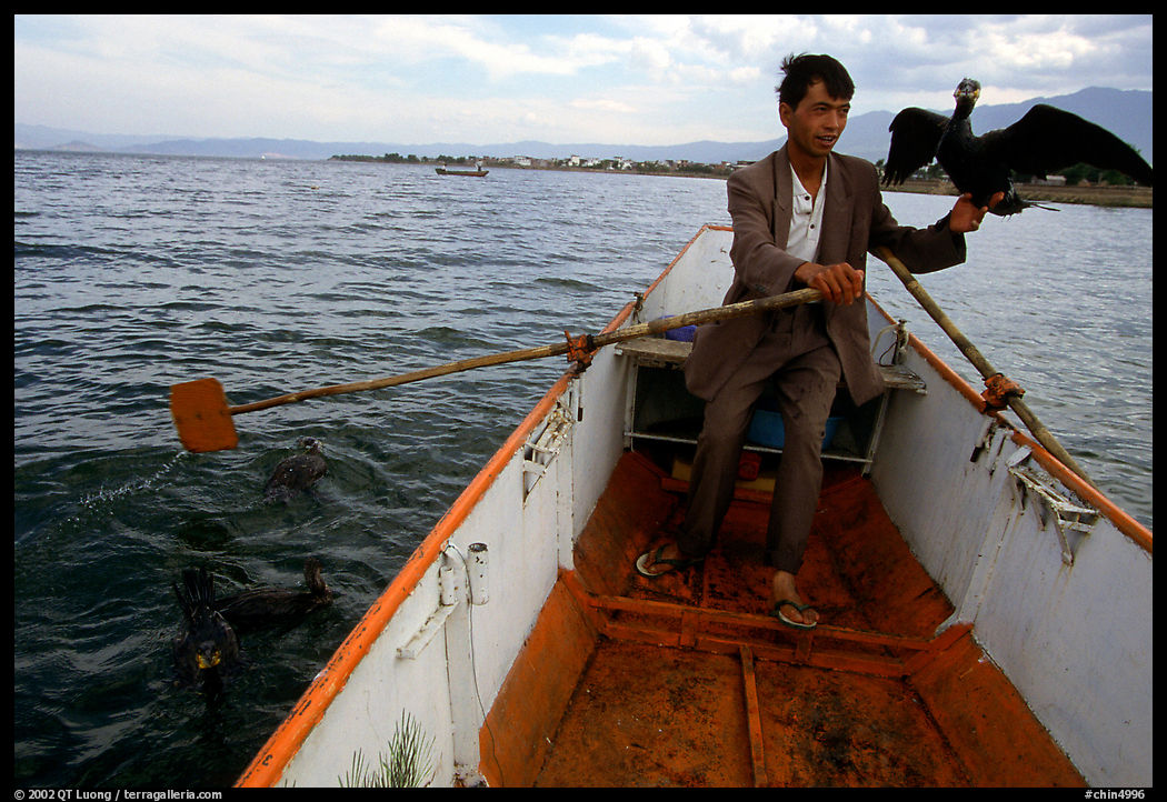 Fisherman holding a cormorant. Dali, Yunnan, China