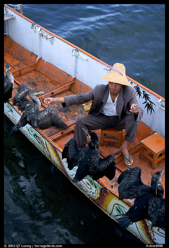 Fisherman talks to his cormorant fishing birds. Dali, Yunnan, China