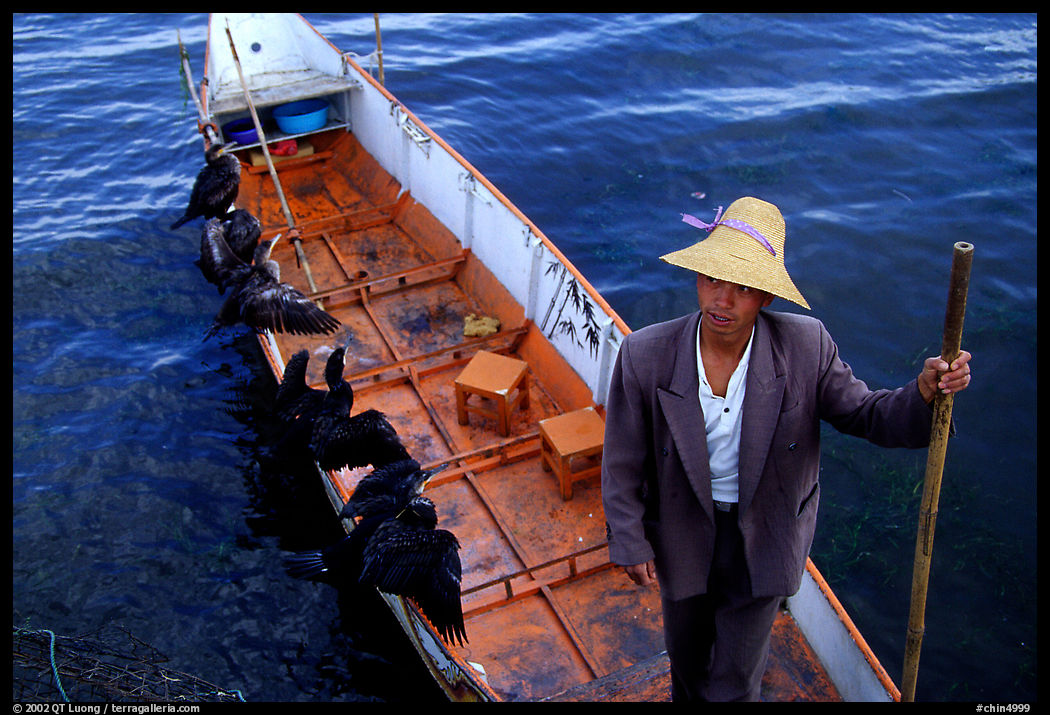 Cormorant Fisherman in a boat with his fishing birds. Dali, Yunnan, China