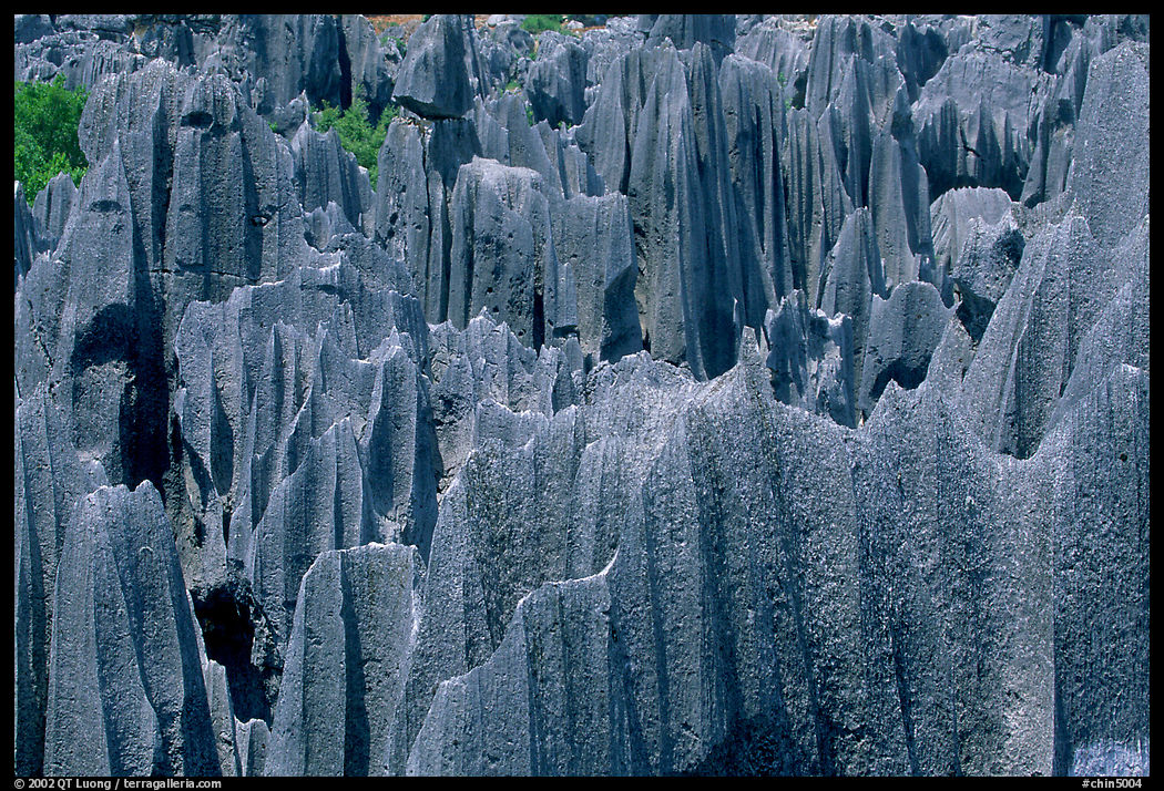 Maze of grey limestone pinnacles and peaks of the Stone Forst. Shilin, Yunnan, China