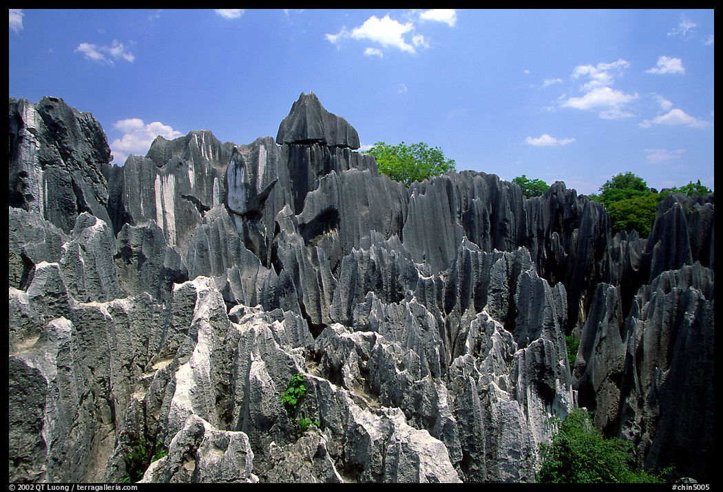 Details of the grey limestone pinnacles of the Stone Forst. Shilin, Yunnan, China