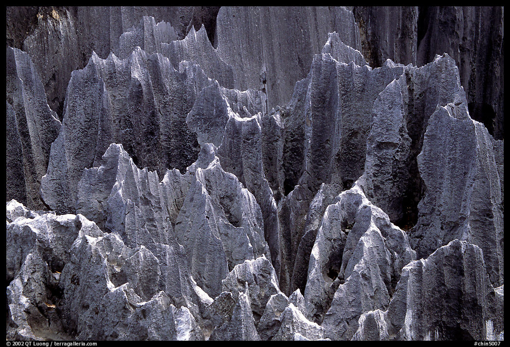 Details of grey limestone pinnacles of the Stone Forst. Shilin, Yunnan, China
