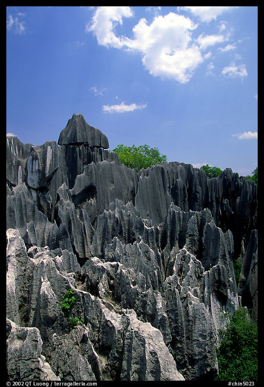 Maze of grey limestone pinnacles and peaks of the Stone Forst. Shilin, Yunnan, China