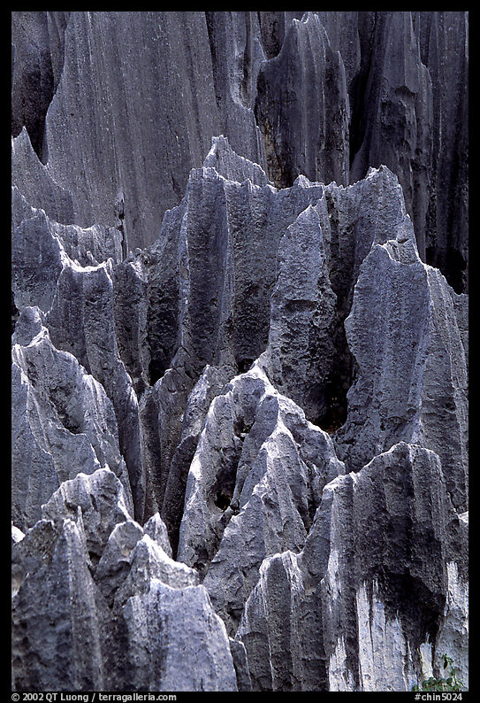 Details of grey limestone pinnacles of the Stone Forst. Shilin, Yunnan, China