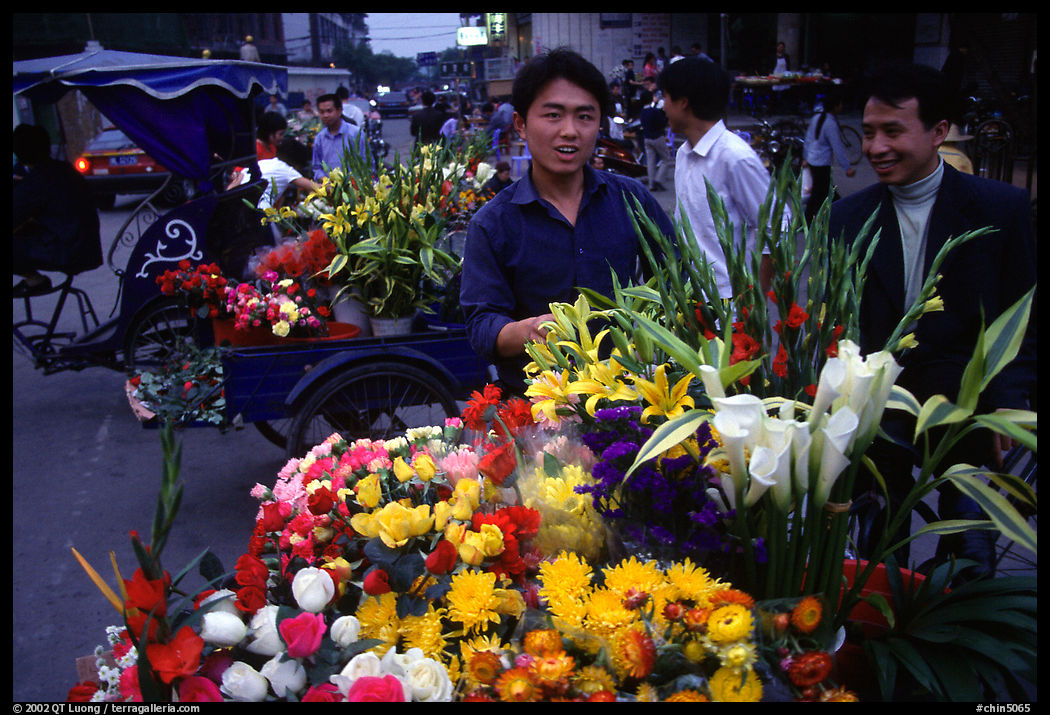 Flower vendor, night market. Leshan, Sichuan, China