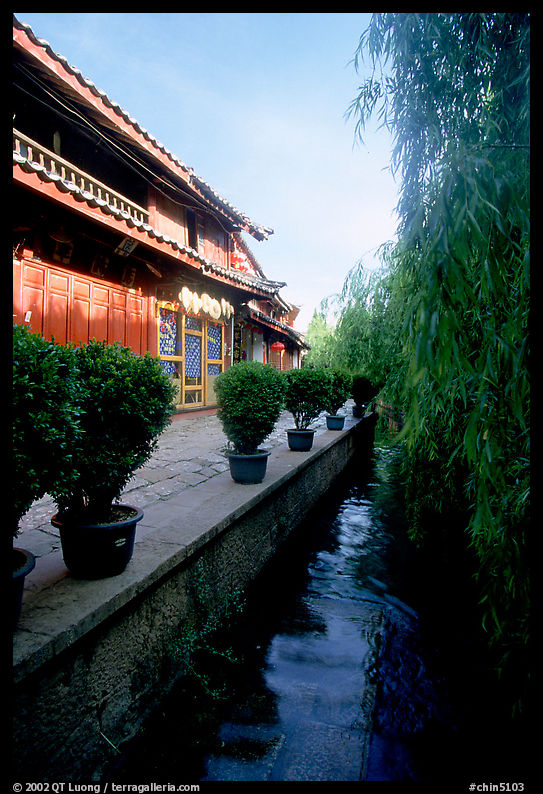 Wooden houses and vegetation near a canal. Lijiang, Yunnan, China