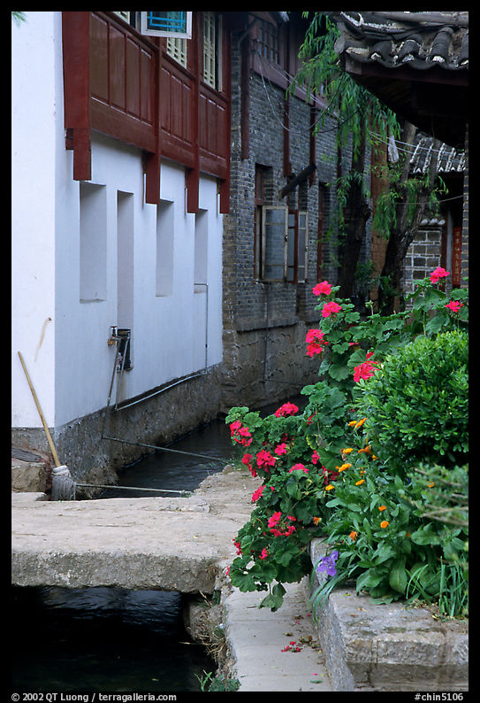 Flowers, canal, and houses. Lijiang, Yunnan, China