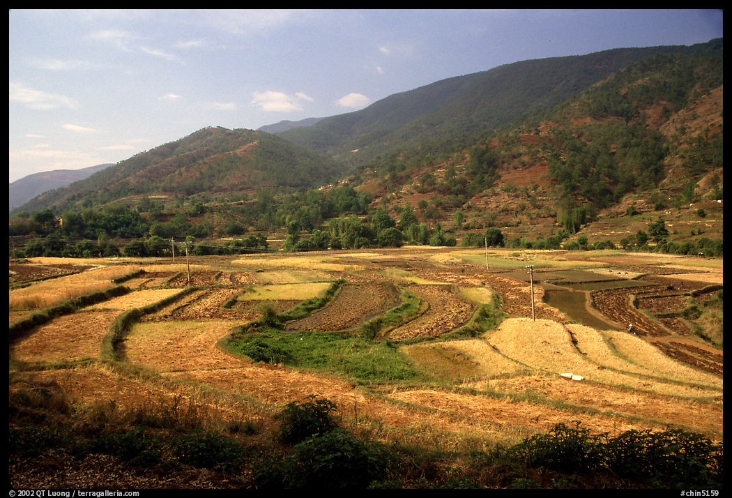 Fields on the road between Lijiang and Panzhihua. 