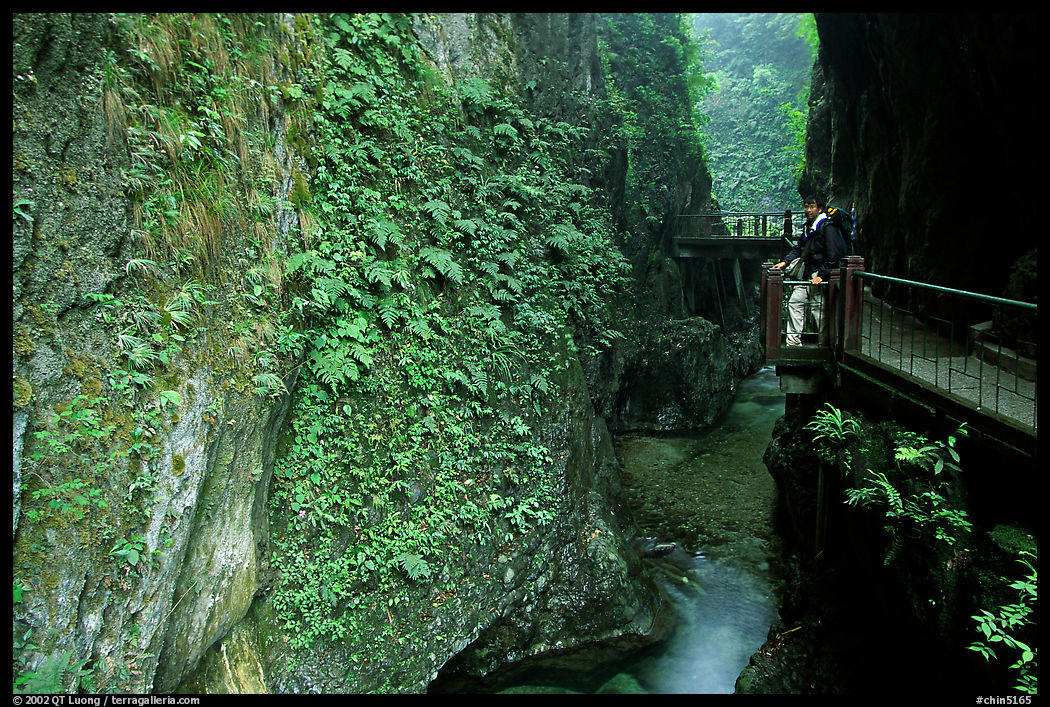 Narrow Gorge between Qingyin and Hongchunping. Emei Shan, Sichuan, China