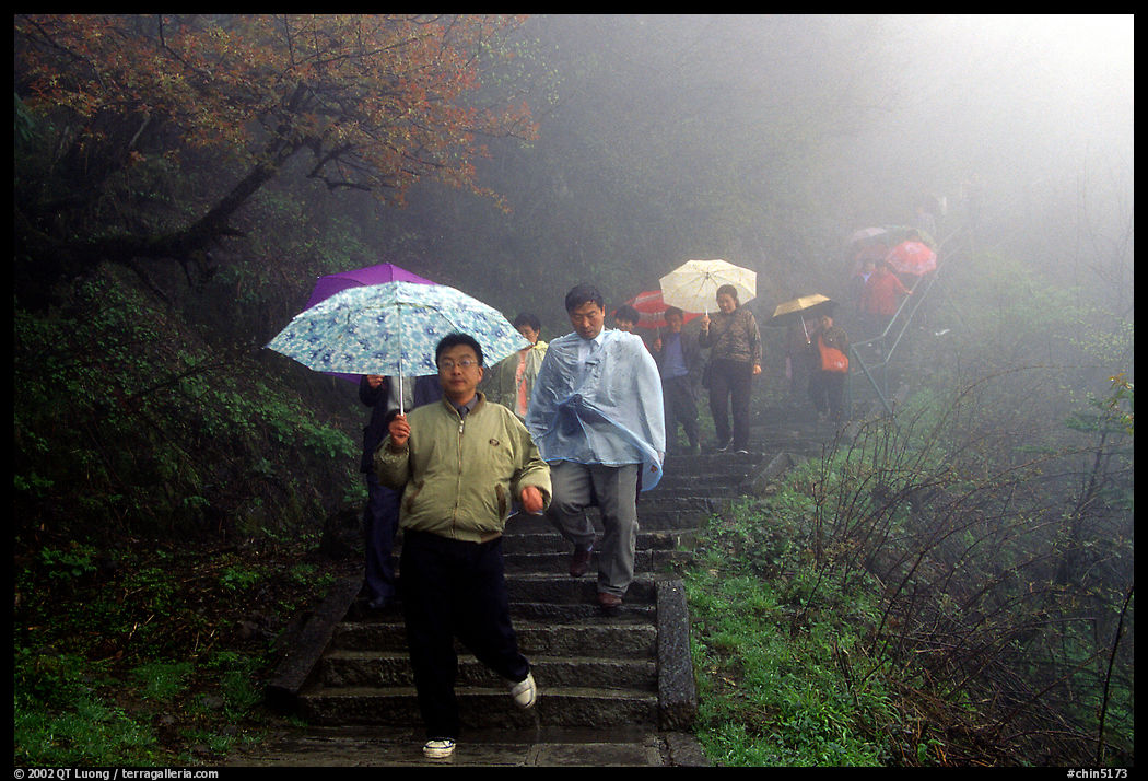 Pilgrims with umbrellas descend some of the tens of thousands of stairs. Emei Shan, Sichuan, China