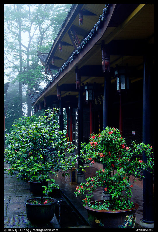 Wannian Si temple in the fog. Emei Shan, Sichuan, China