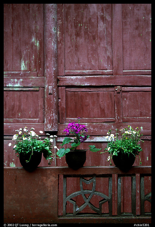 Potted flowers and wooden wall in Bailongdong temple. Emei Shan, Sichuan, China