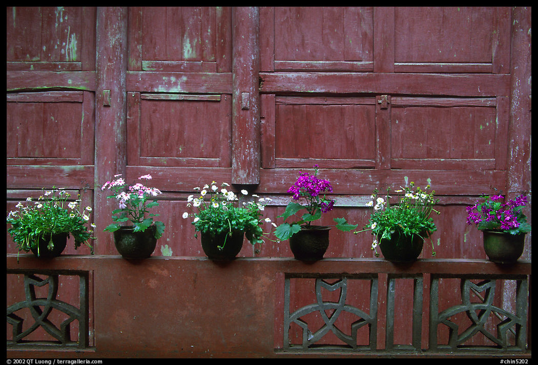 Potted flowers and wooden wall in Bailongdong temple. Emei Shan, Sichuan, China