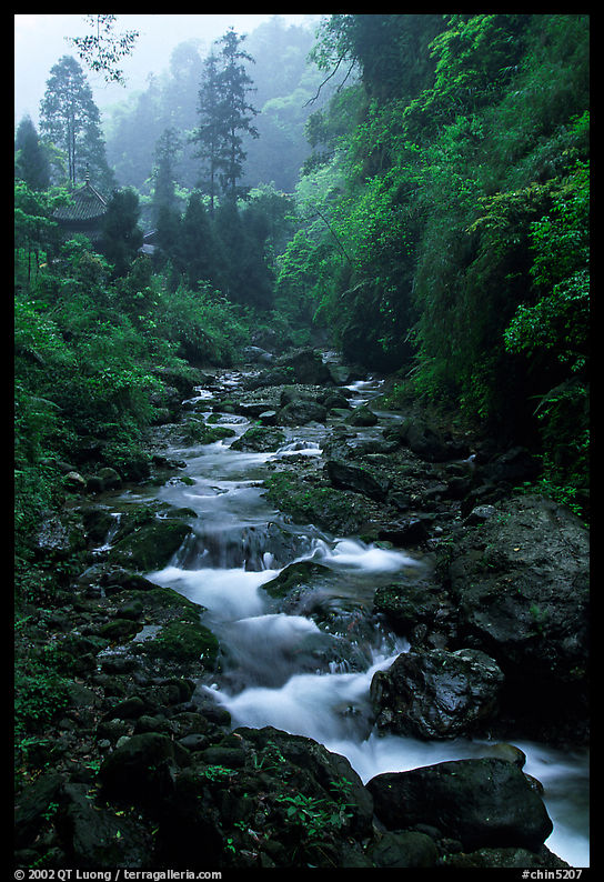 Stream between Qingyin and Hongchunping. Emei Shan, Sichuan, China