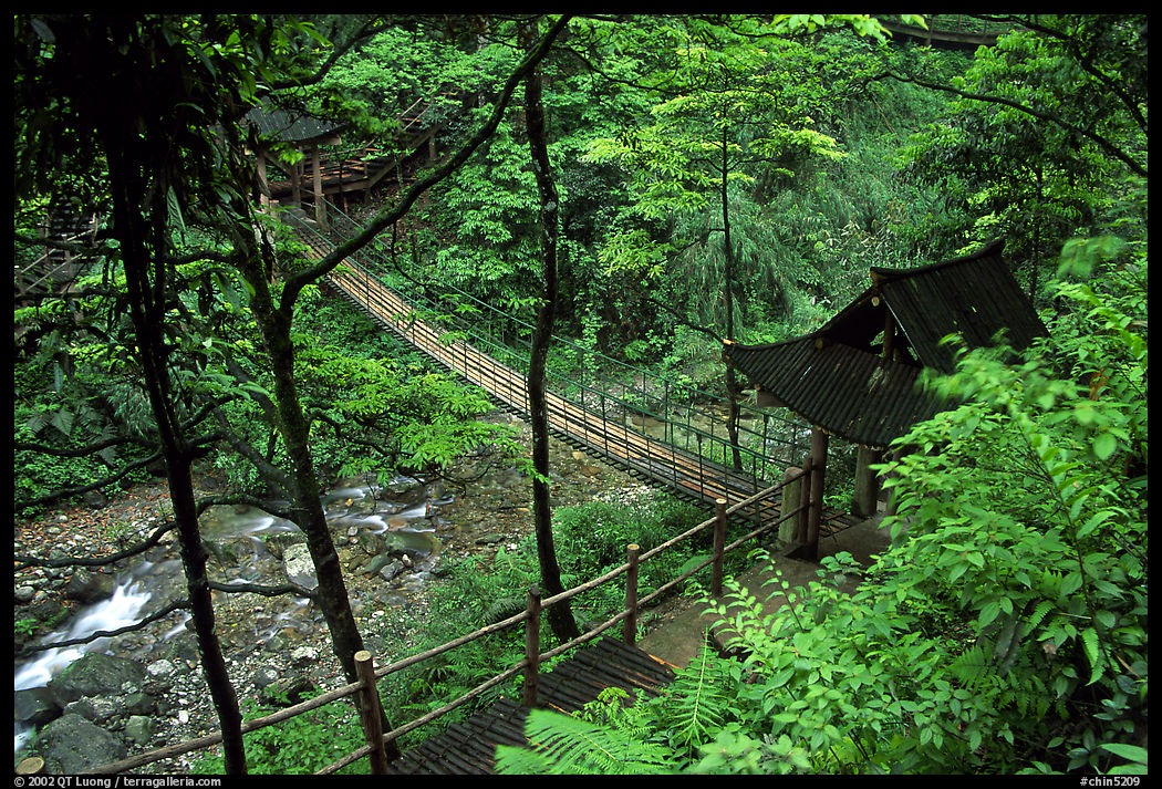 Suspension bridge between Qingyin and Hongchunping. Emei Shan, Sichuan, China
