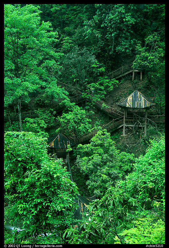 Path and pavillon on steep hillside between Qingyin and Hongchunping. Emei Shan, Sichuan, China