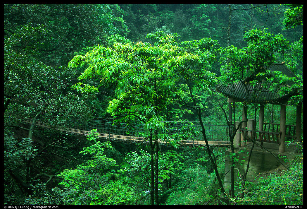 Suspension bridge between Qingyin and Hongchunping. Emei Shan, Sichuan, China