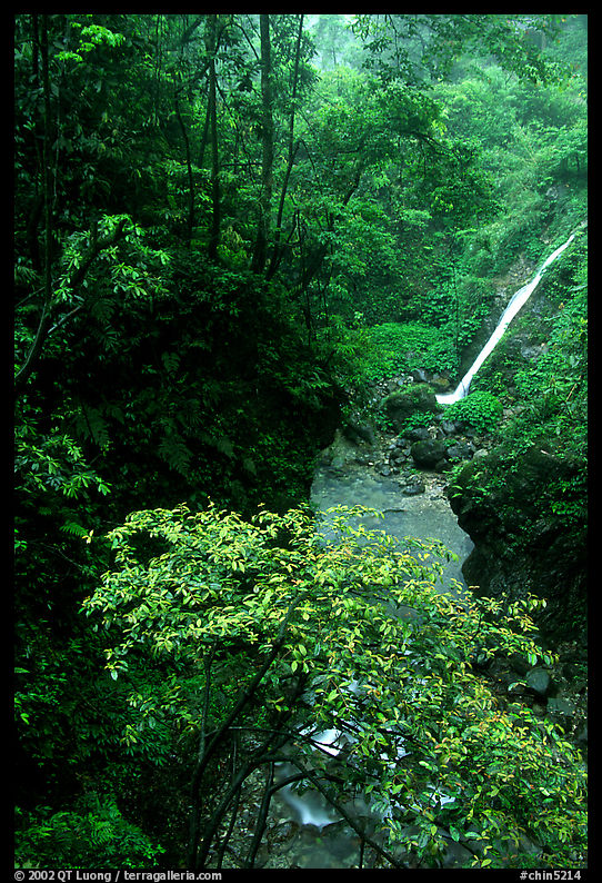 Waterfall between Qingyin and Hongchunping. Emei Shan, Sichuan, China