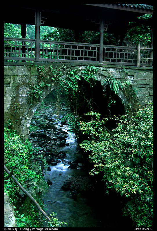 Covered bridge between Qingyin and Hongchunping. Emei Shan, Sichuan, China