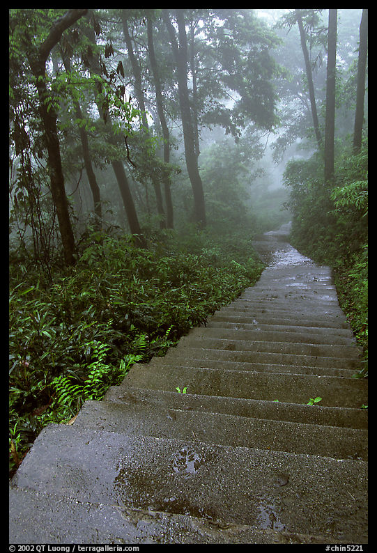 The staircase above Hongchunping. Emei Shan, Sichuan, China