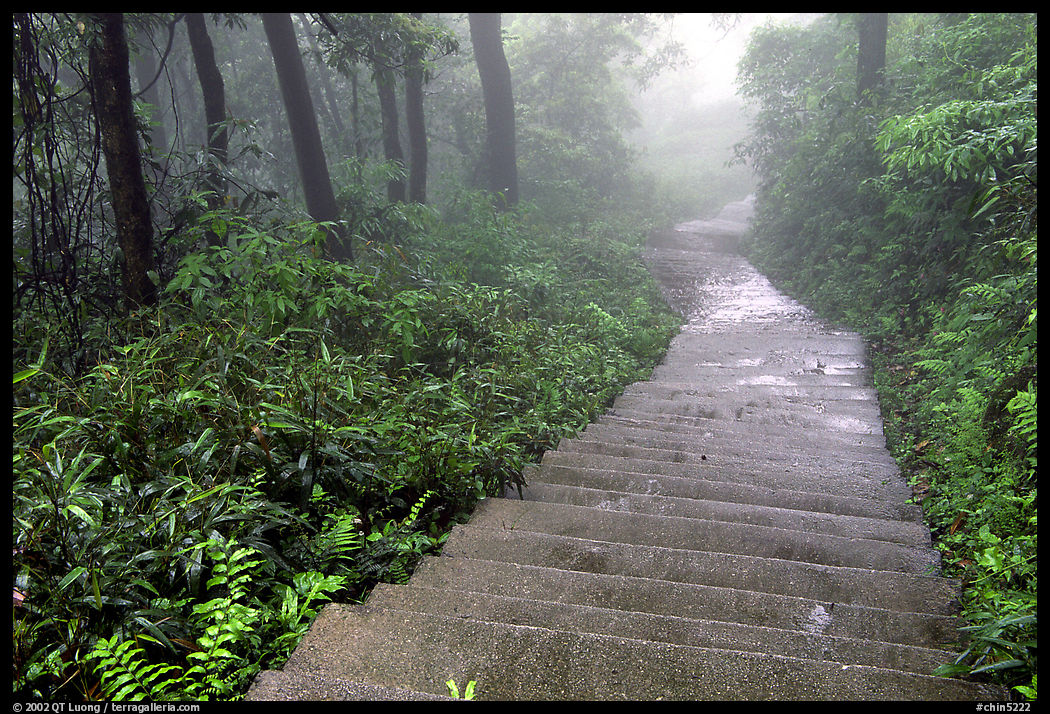 The staircase above Hongchunping. Emei Shan, Sichuan, China