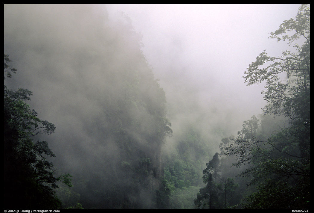 Cliffs and trees in mist between Hongchunping and Xiangfeng. Emei Shan, Sichuan, China