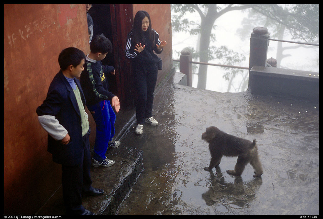Pilgrims show the palm of their hand to an aggressive monkey, meaning they have no food, Yuxian temple. Emei Shan, Sichuan, China
