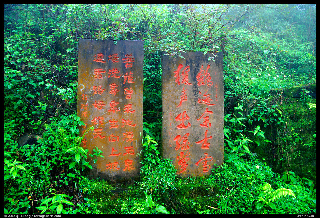 Stone tablets with Chinese scripture. Emei Shan, Sichuan, China
