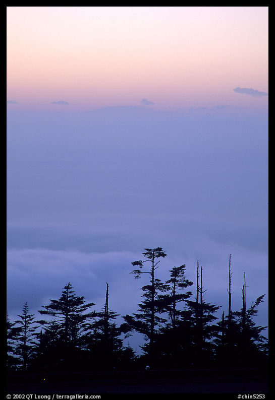 Sunset on a sea of clouds. Emei Shan, Sichuan, China