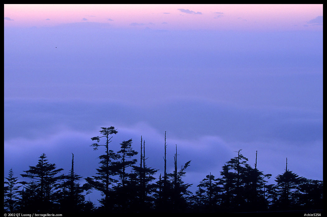 Sunset on a sea of clouds. Emei Shan, Sichuan, China