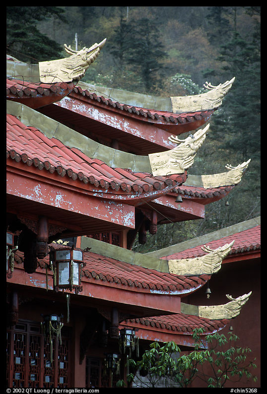 Roof detail of Jieyin Palace. Emei Shan, Sichuan, China