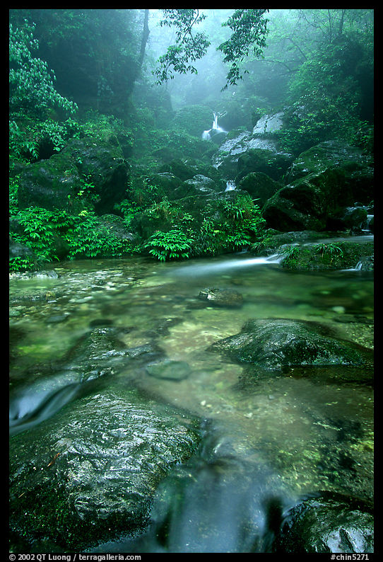 Stream between Qingyin and Hongchunping. Emei Shan, Sichuan, China