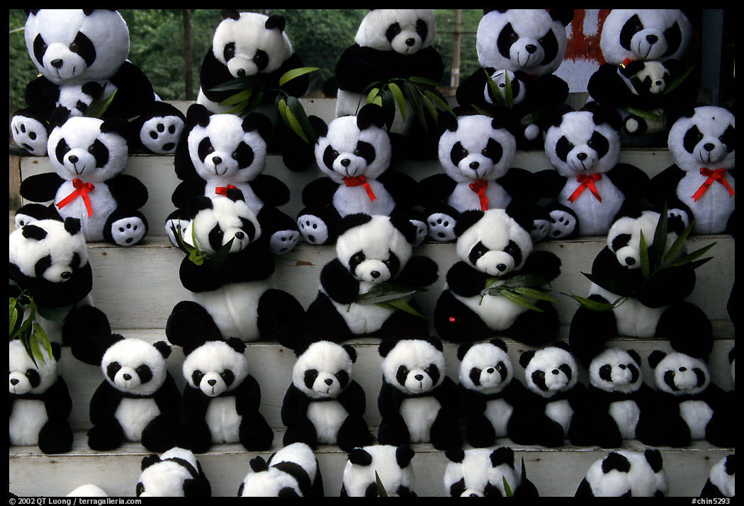 Stuffed pandas for sale. Chengdu, Sichuan, China