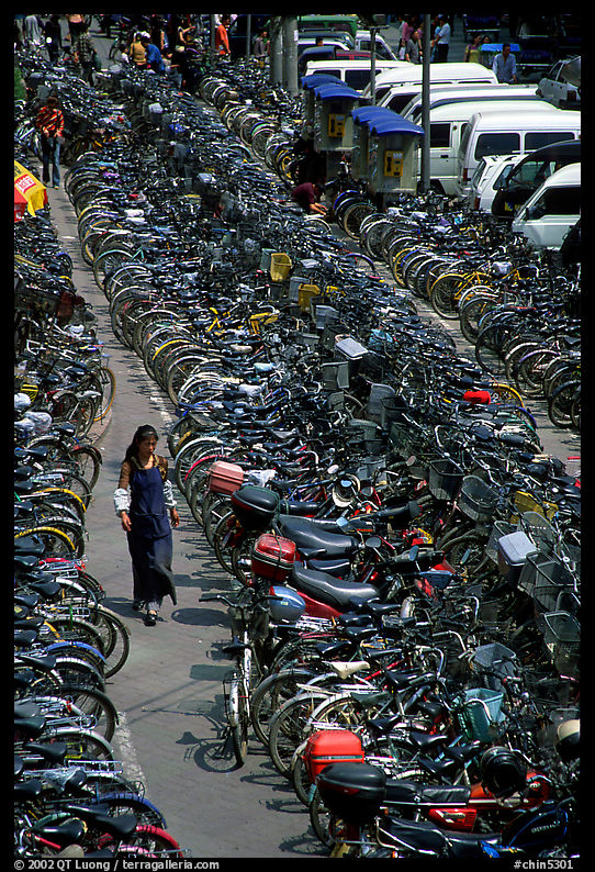 Woman walking in a bicycle parking lot. Chengdu, Sichuan, China