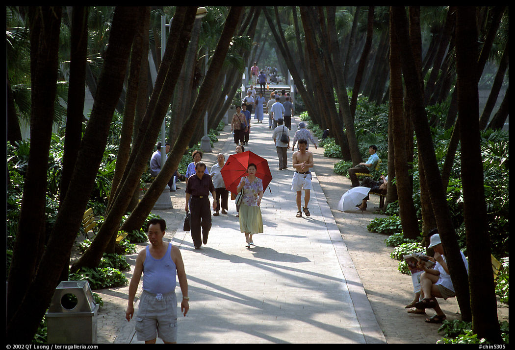 Walking to work and for exercie in a tree-lined alley of Liuha Park. Guangzhou, Guangdong, China