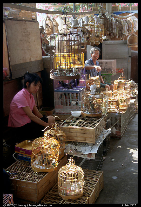 Bird Market. Guangzhou, Guangdong, China
